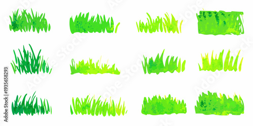 Collection of various green grass tufts and patches on white background