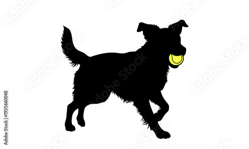 Silhouette of a playful dog running and carrying a yellow tennis ball in mouth