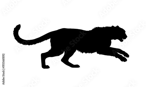 Silhouette of a cheetah or leopard running fast in wild nature