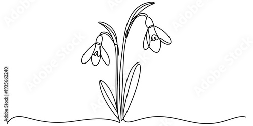 Snowdrop flower outline illustration simple line art design