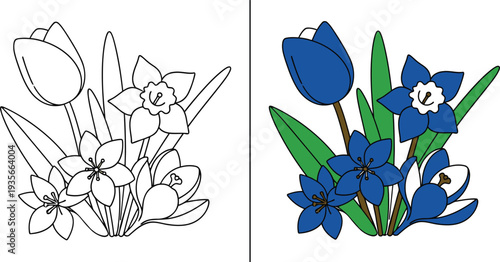 Spring Flowers Coloring Page – Tulips and Daffodils Black and White Outline with Colored Example