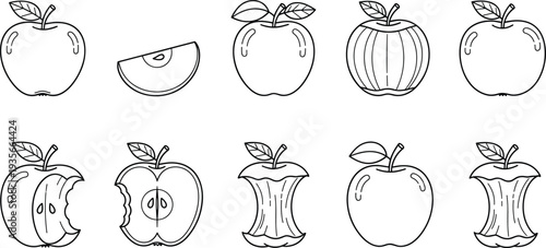 Apple fruit development line art icon set featuring whole apples, slices, bitten pieces, and cores for cad drawing flat vector illustration.