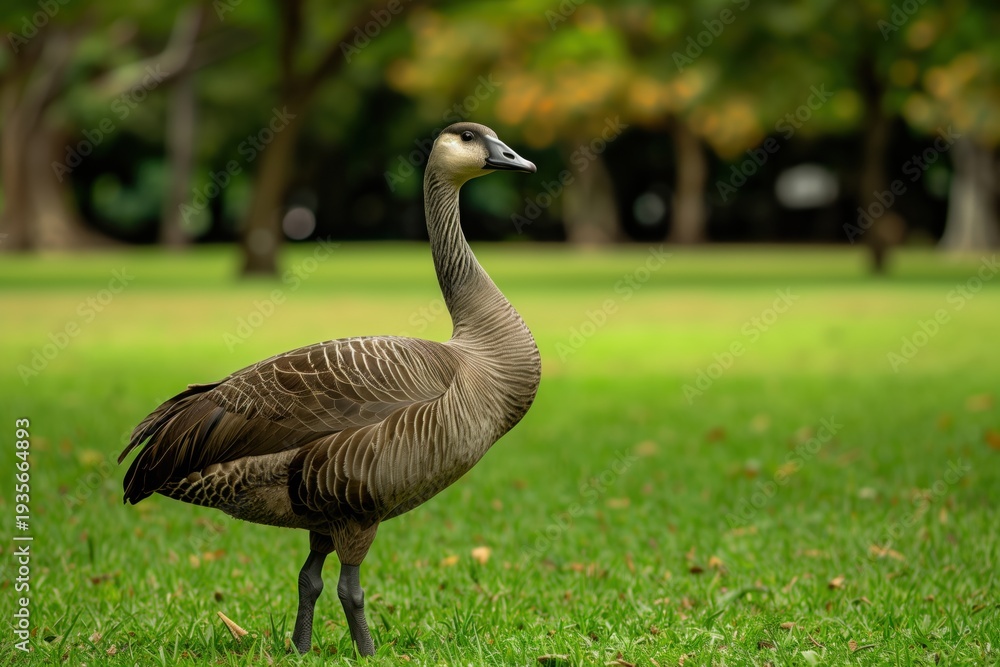 Fototapeta premium Beautiful bird stands gracefully in a lush green park during a sunny afternoon, showcasing nature's vibrant colors and peaceful scenery