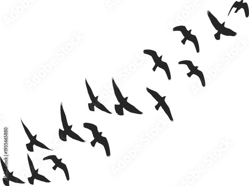 A flock of birds flying in a v formation against a white background