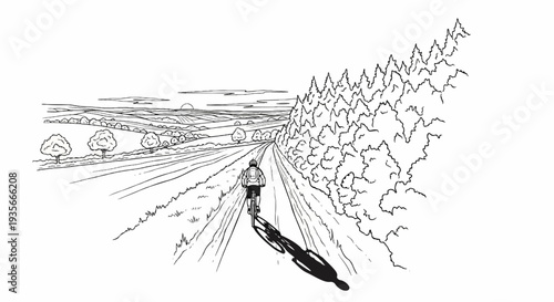A cyclist rides down a country road lined with trees toward a distant horizon