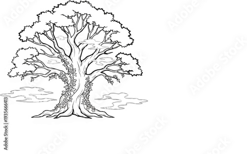 An ancient, gnarled tree with ivy climbing its trunk and stylized clouds below