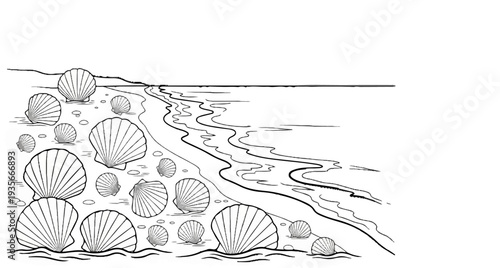 A collection of seashells scattered on a sandy shore by the ocean