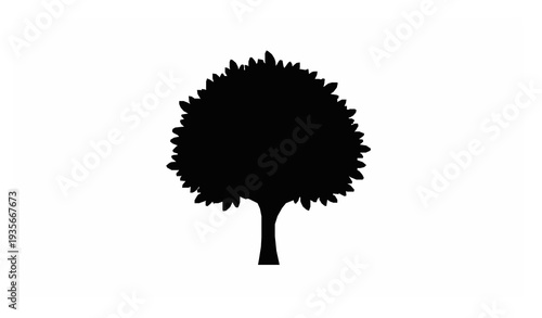 Mature Plant Silhouette Botanical Vector Illustration