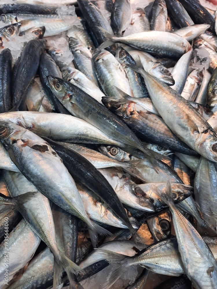 Obraz premium fresh fish on the market