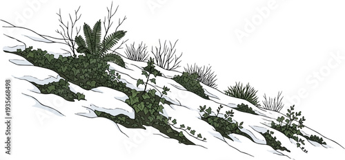 Snow-dusted ground with hardy green plants, ferns, and bare branches