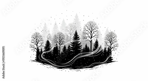 Monochrome winter forest scene with bare and evergreen trees