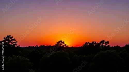 Vibrant sunset over a dark forest, colors fade from purple to orange