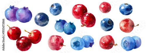 Hand painted watercolor illustration displaying a collection of fresh blueberries and cranberries, depicting healthy eating, natural food, and juicy organic fruit for summer