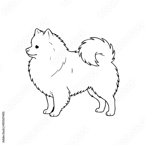 Spitz dog breed illustration vector
Vector illustration icon on a white background