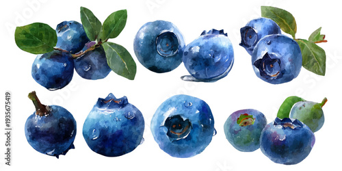 Fresh organic blueberries watercolor set, depicting healthy fruit with green leaves, vibrant blue hues, and natural textures, ideal for botanical illustrations and food concepts