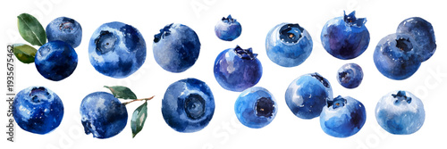 Fresh blueberries watercolor painting on a white background, displaying organic healthy fruit, superfood, and delicious natural berries for a nutritious diet