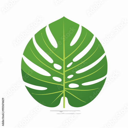 Feuille de monstera tropicale – illustration vectorielle