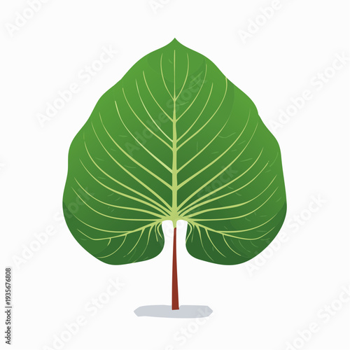 Feuille tropicale rare en forme de cœur – illustration vectorielle