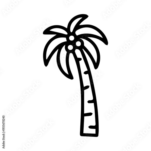 Palm Tree Illustration