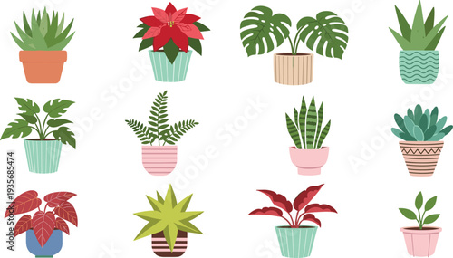 Decorative Indoor Houseplants Collection with Monstera Succulent Fern Snake Plant and Tropical Foliage in Stylish Pots Flat Vector Botanical Illustration.
