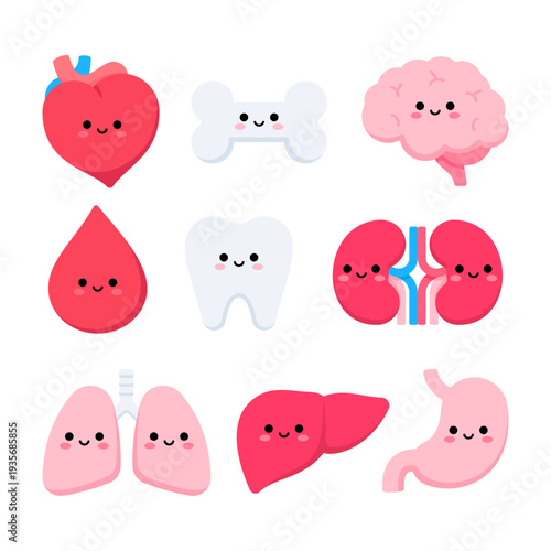 Cute human organs icon illustration