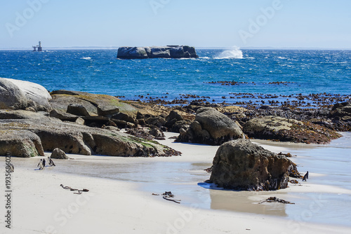 South Africa,Cape Town,Boulders Beach,Rocky shoreline with penguins on sandy beach and ocean waves in background