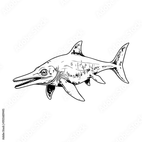Ichthyosaur dinosaur illustration vector 
Vector illustration icon on a white background