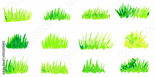 Watercolor illustration of various green grass patches and clumps
