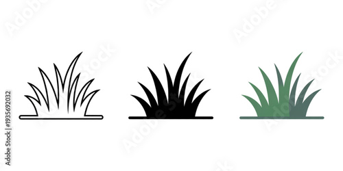 Illustrations of three different types of grass, each with distinct shapes and colors. Vector