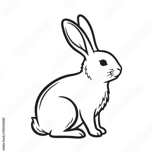 Cute rabbit illustration on vector illustration