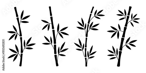 Four bamboo plants with leaves growing in a straight line Vector