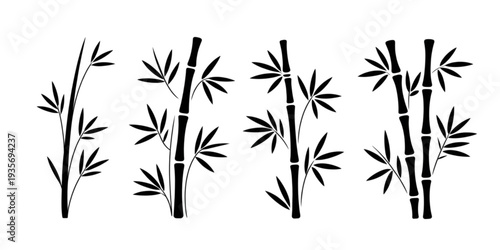 A group of bamboo plants growing in a row with black and white contrast Vector