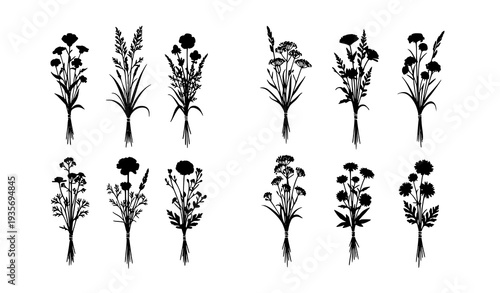 Black Wild Flower Bouquet Silhouette Set with Meadow Herbs and Garden Botanical Compositions Vector