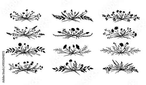 Minimalist Wild Flower Branch Silhouette Set with Meadow Herbs and Garden Plants Vector Illustration