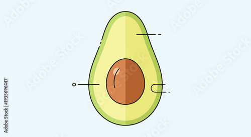 Detailed diagram of a sliced avocado showing the large seed and green flesh with thin lines for anatomical labels or notes.