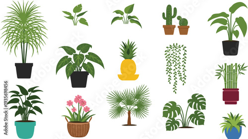 Indoor Potted Houseplants Collection with Monstera Palm Cactus Bamboo and Hanging Greenery Flat Vector Botanical Illustration for Home Garden Decor Design.