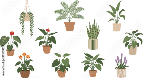 Indoor Potted Houseplants Collection with Monstera Palm Snake Plant Lavender and Hanging Greenery Flat Vector Botanical Illustration for Home Decor Design.