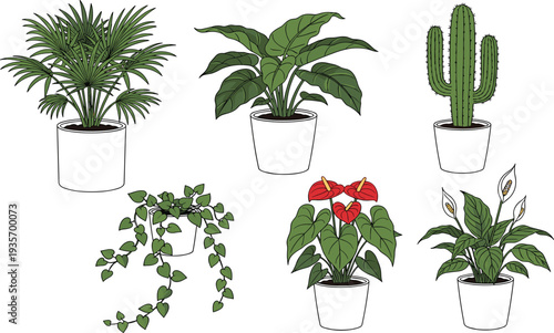 Indoor Potted Houseplants Set with Palm Cactus Anthurium Peace Lily and Hanging Vine Flat Vector Botanical Illustration for Home Decor Design.