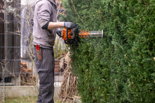 Hedge trimming in spring, removal of storm damage