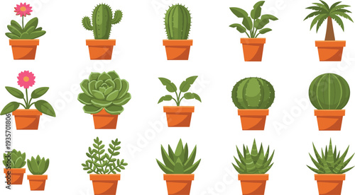 Potted Cactus and Succulent Plant Collection with Decorative Indoor Houseplants and Desert Plants in Terracotta Pots Flat Vector Botanical Illustration.