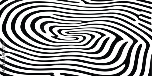 Stylized fingerprint vector with black lines on clear background