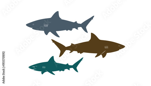 Modern multicolor shark design in vector format.