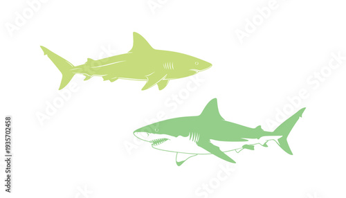 Colorful shark graphic designed as a vector image.