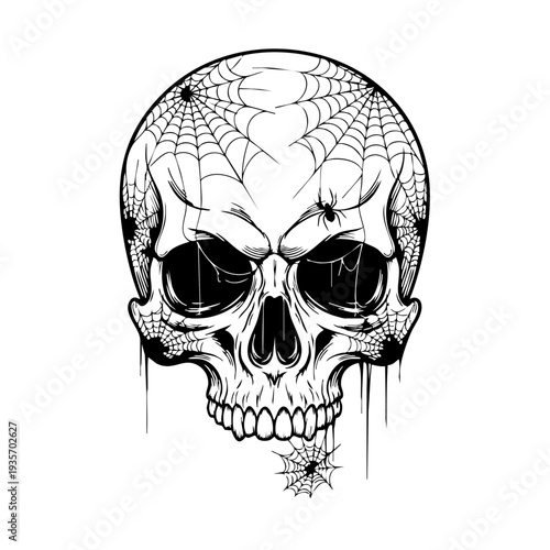 Detailed black and white illustration of a human skull with spider web design.