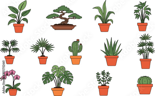 Potted Indoor Plant Collection with Bonsai Monstera Cactus Palm Orchid and Decorative Houseplants in Terracotta Pots Flat Vector Botanical Illustration.