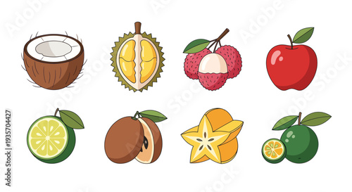 Cartoon fruits coconut durian apple and more