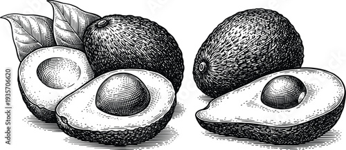 Avocado whole and cut with leaves in two different compositions illustration