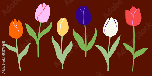 Tulips Spring Flowers Vector Flower Illustration set
