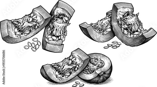 Pumpkin slices with seeds set in various arrangements vintage illustration