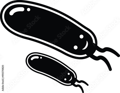 Illustration of two bacteria with flagella and distinct body shapes